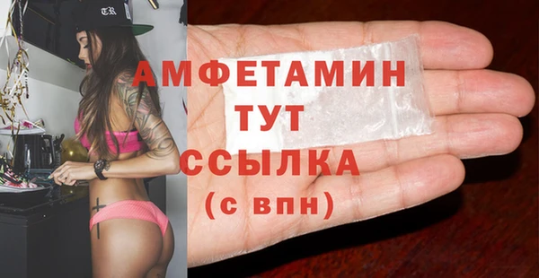 меф Ельня