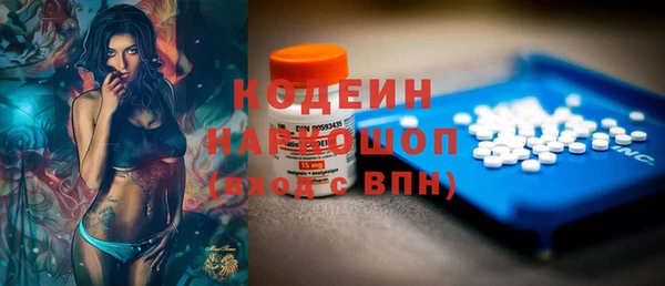 меф Ельня