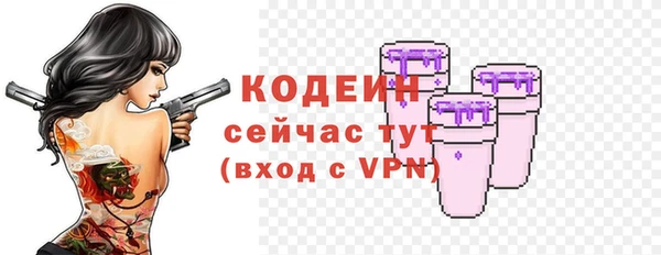 амф Елабуга