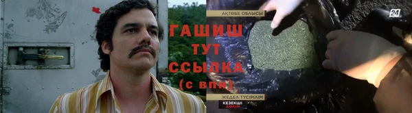 меф Ельня