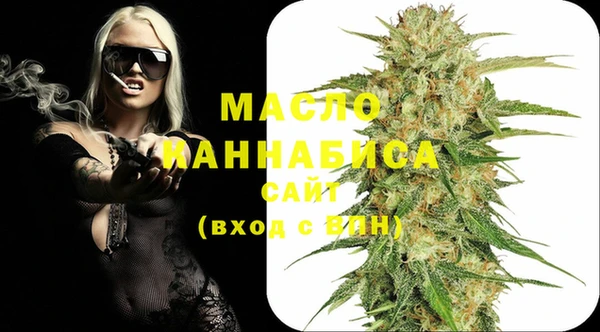 меф Ельня