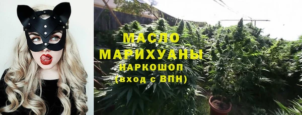 амф Елабуга